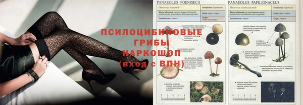 крисы Алзамай