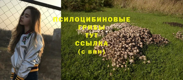 прущая мука Абаза