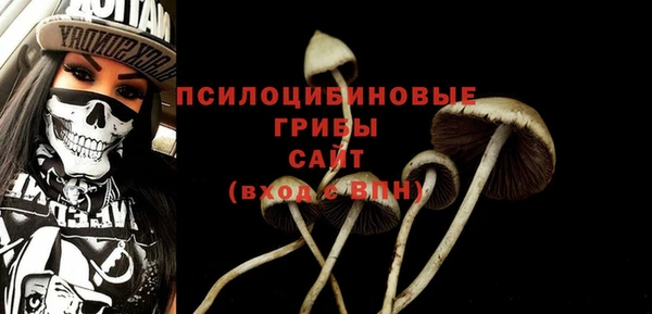 крисы Алзамай