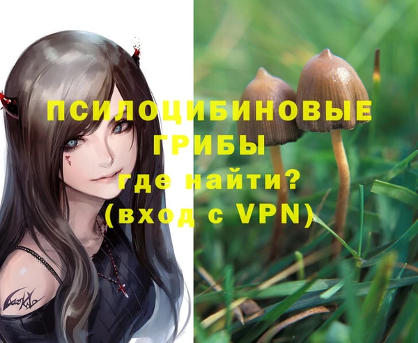 ГАЛЛЮЦИНОГЕННЫЕ ГРИБЫ Алексин