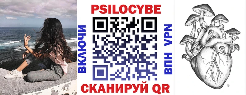 Галлюциногенные грибы Psilocybe  купить наркоту  Омск 
