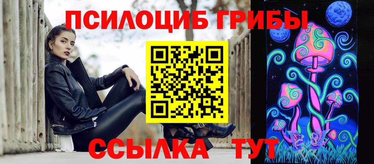 Псилоцибиновые грибы Cubensis Омск