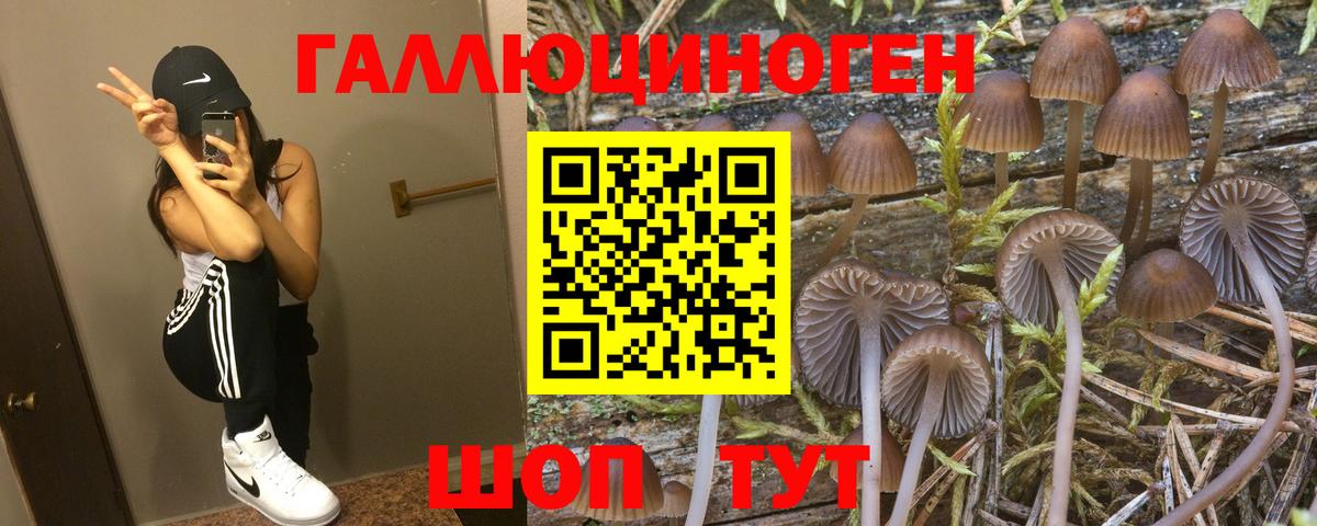 Галлюциногенные грибы Psilocybine cubensis  Вход с VPN  Омск  Псилоцибиновые грибы MAGIC MUSHROOMS 